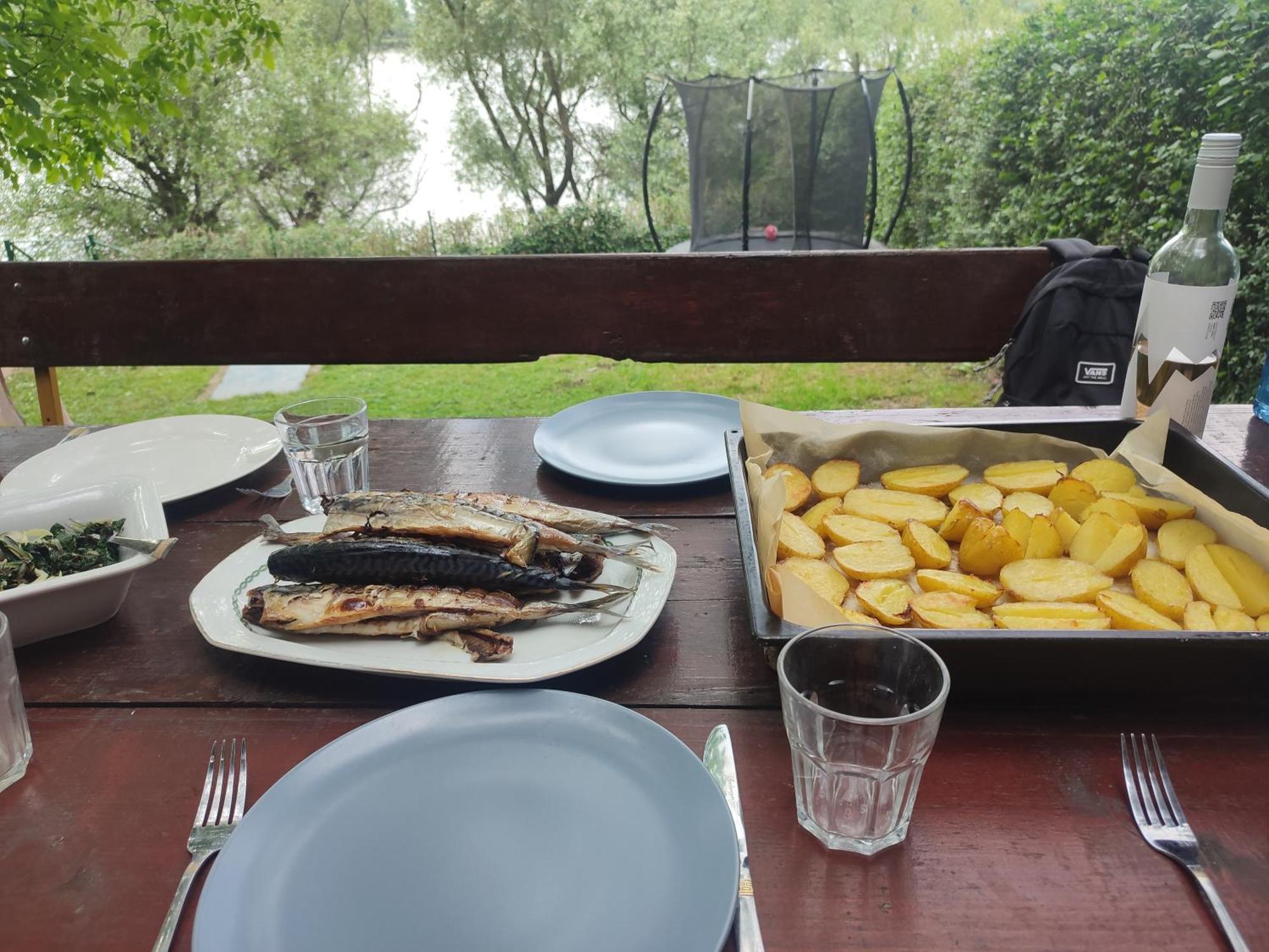 Bocke Beach House Újvidék Kültér fotó